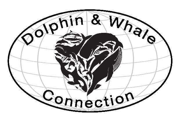 The Dolphin & Whale Connection
